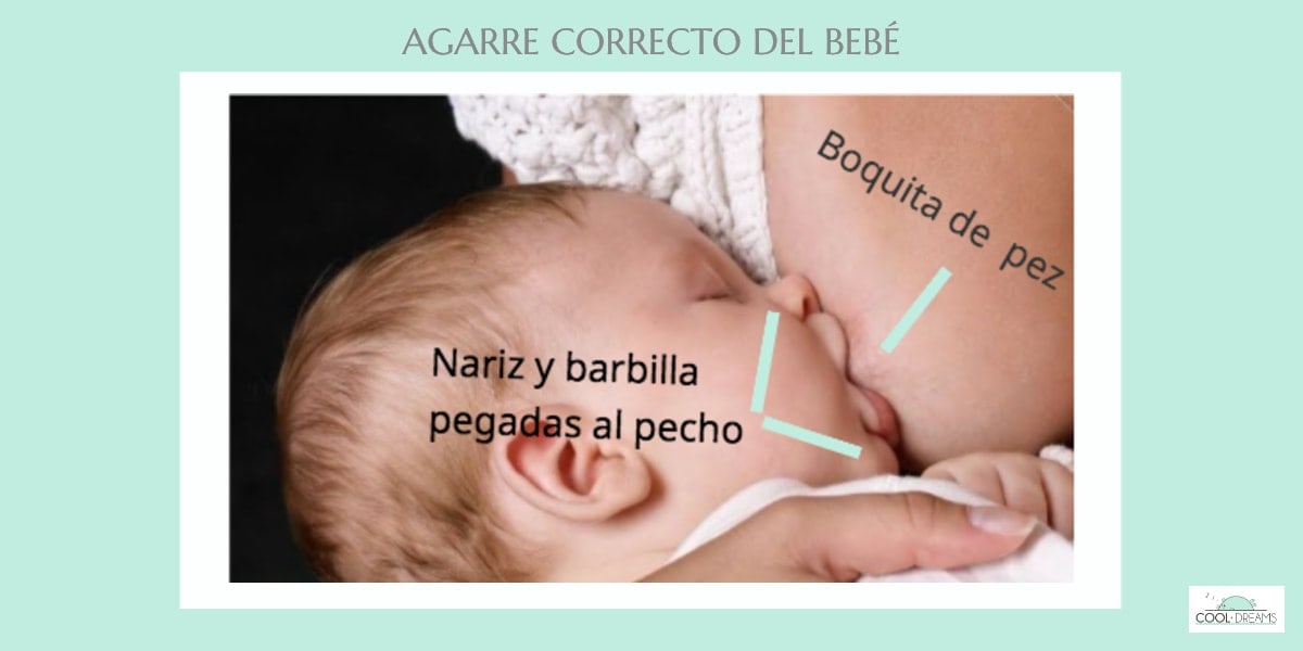 Agarre correcto del bebé en la lactancia materna
