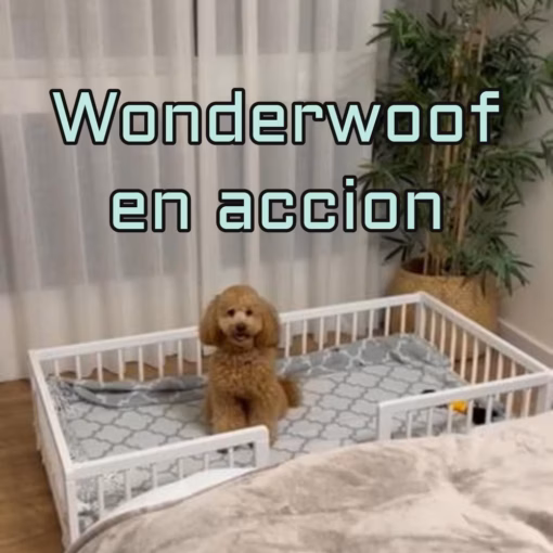 cama mascotas wonderwoof portada video