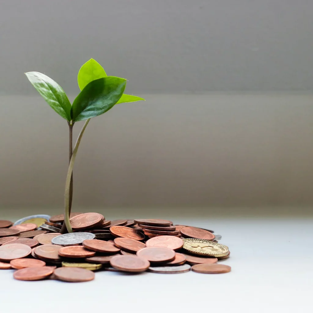 afiliacion cool dreams gana dinero